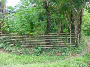 HPIM0366