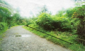 img044