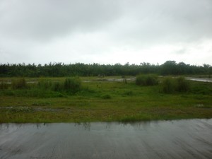 P1030702