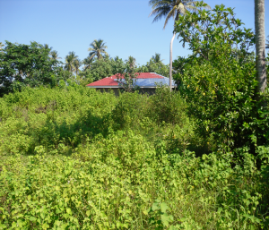 Picture3