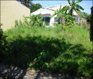 Picture9